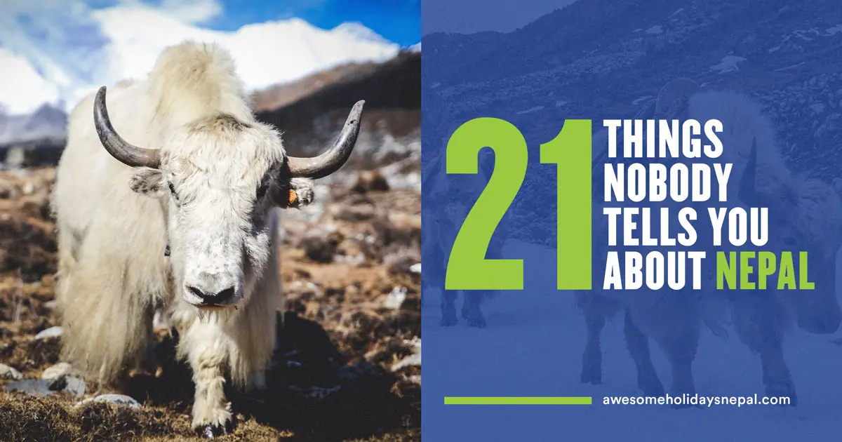21 Things Nobody Tells You About Nepal 21 Things Nobody Tells You About Nepal