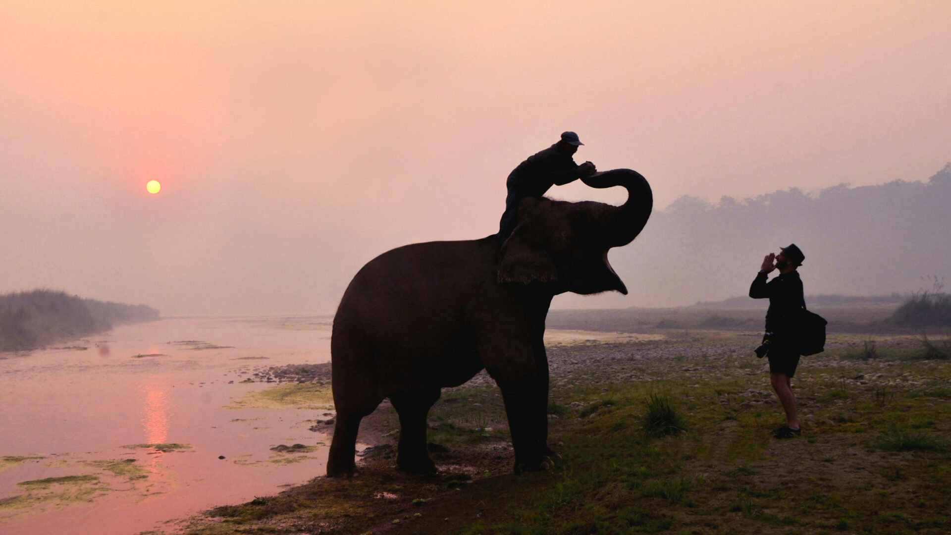 tourists seeing elephant at chitwan
