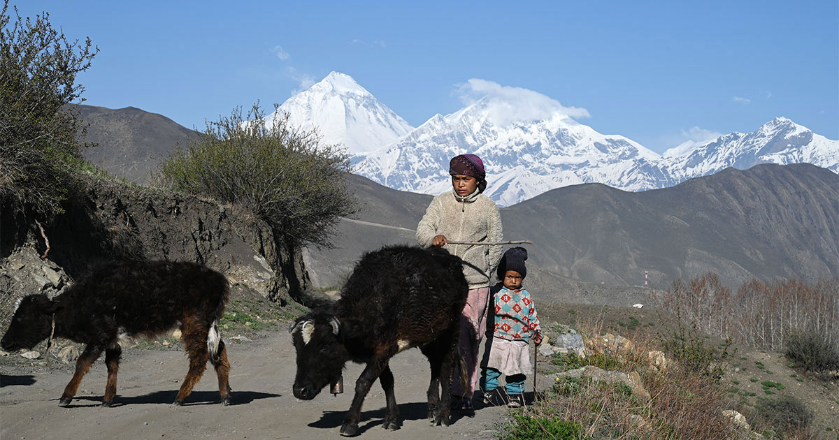 Village life in mustang