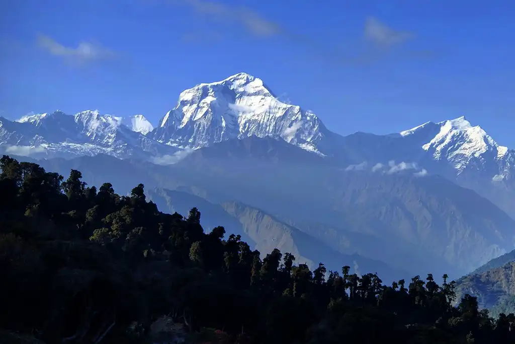 Dhaulagiri View