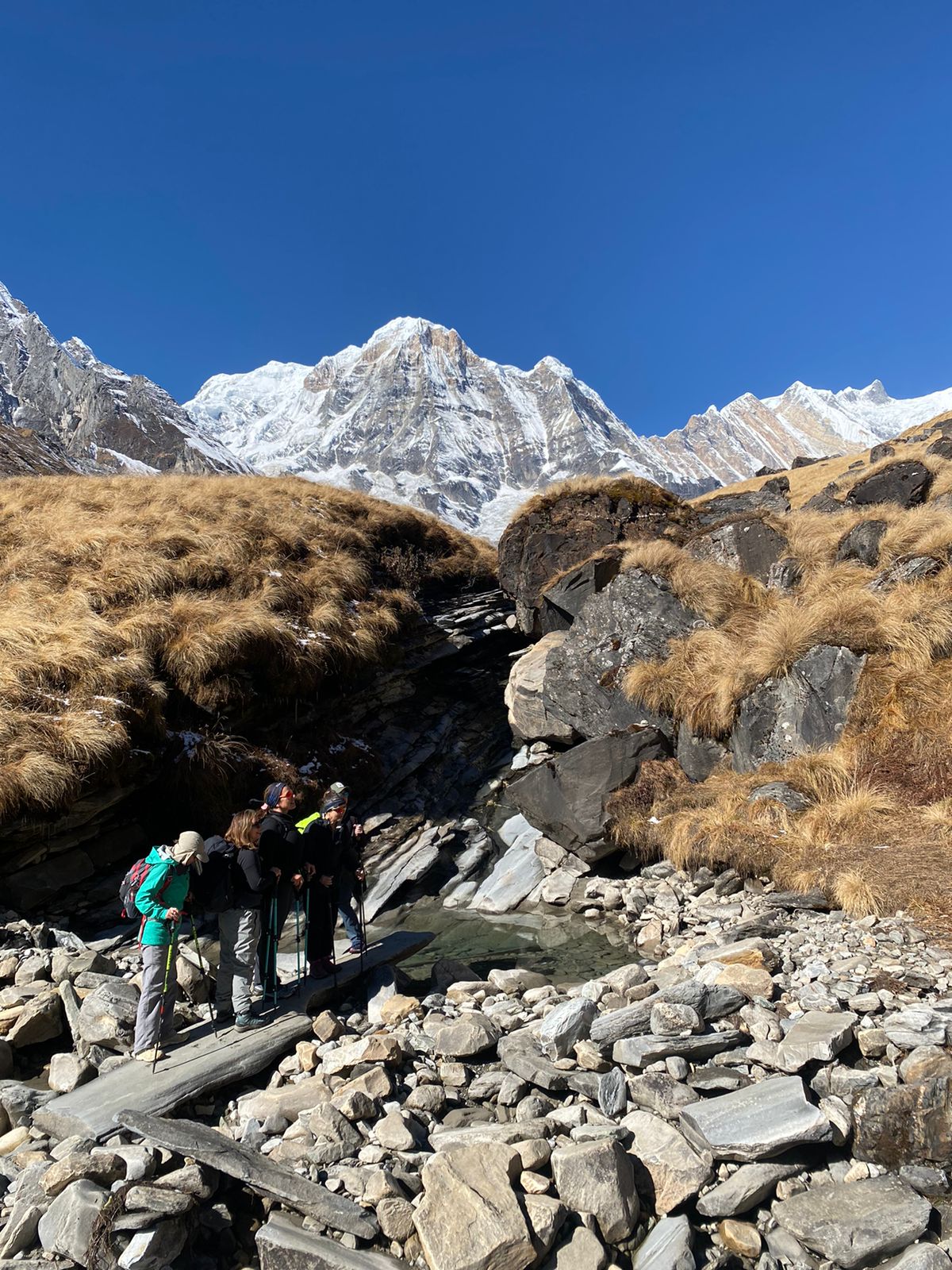 Ghorepani Poonhill Trek Trail