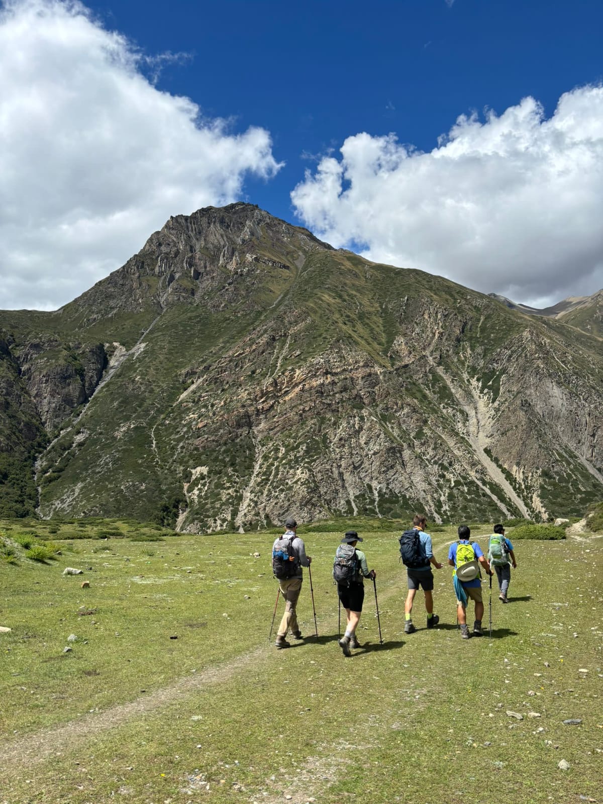 trekkers with trekking stick