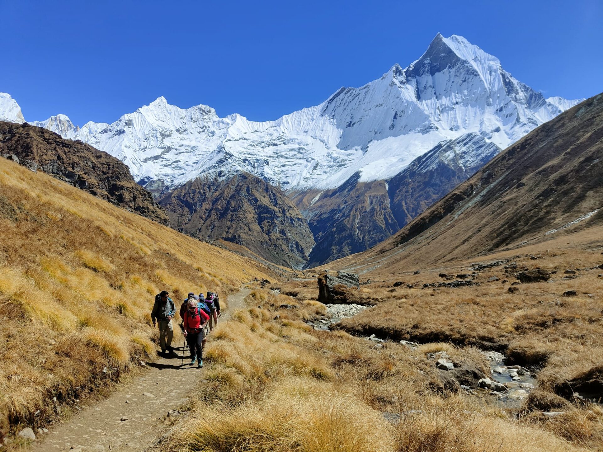 trekkers on the way to annapurna trek