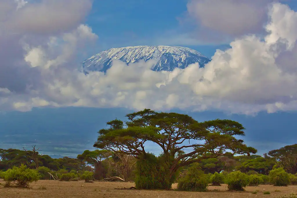 Everest vs Kilimanjaro