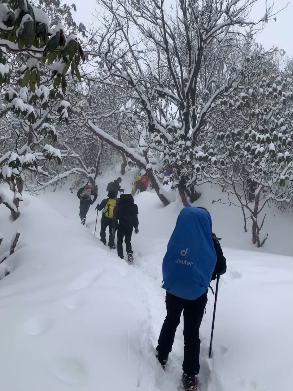 Snow fall at Mardi Himal can be slippery yet the best moment to see the mountains