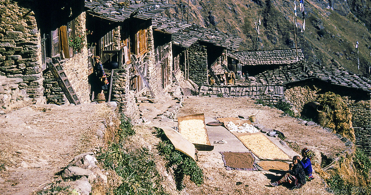 Cheese factory in Langtang Valley.