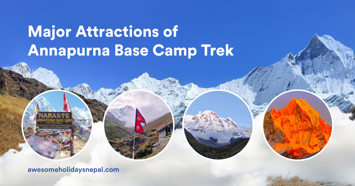 Best Things to Do During Annapurna Base Camp Trek