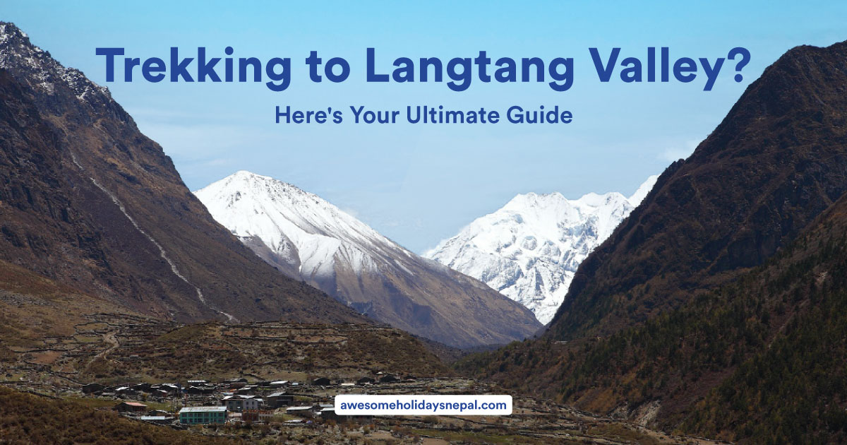 Things to Know Before the Langtang Valley Trek: The Ultimate Guide