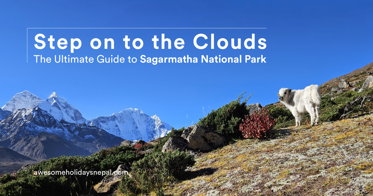 Sagarmatha National Park: A UNESCO World Heritage Site