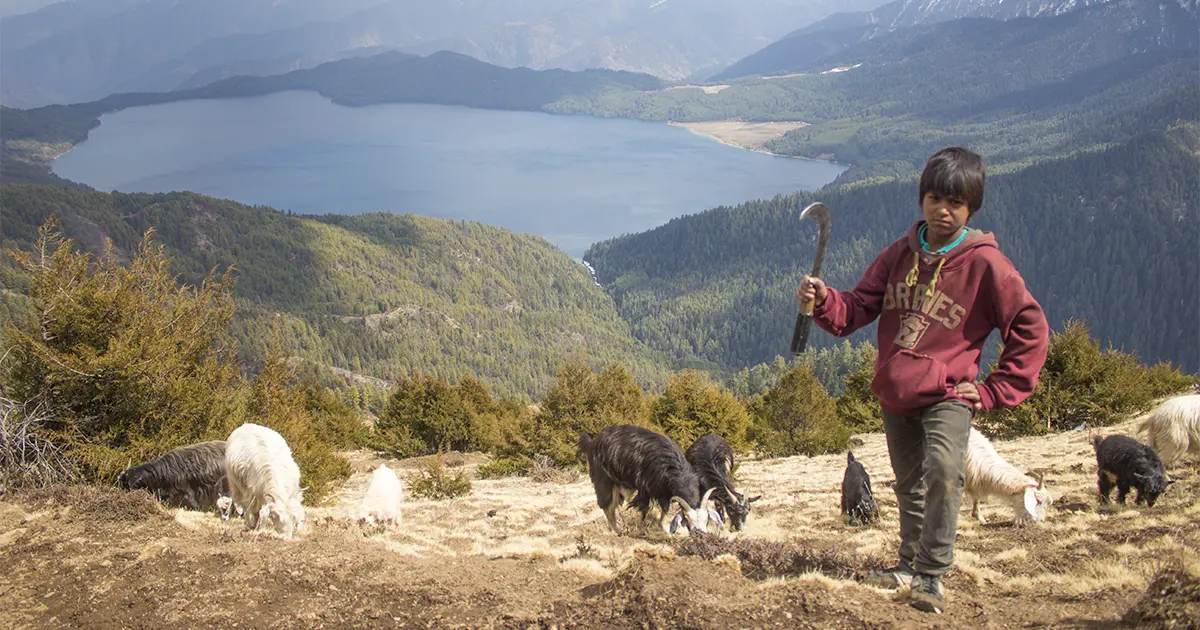 Rara National Park Biodiversity