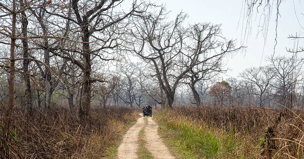 Jeep Safari in Chitwan National Park