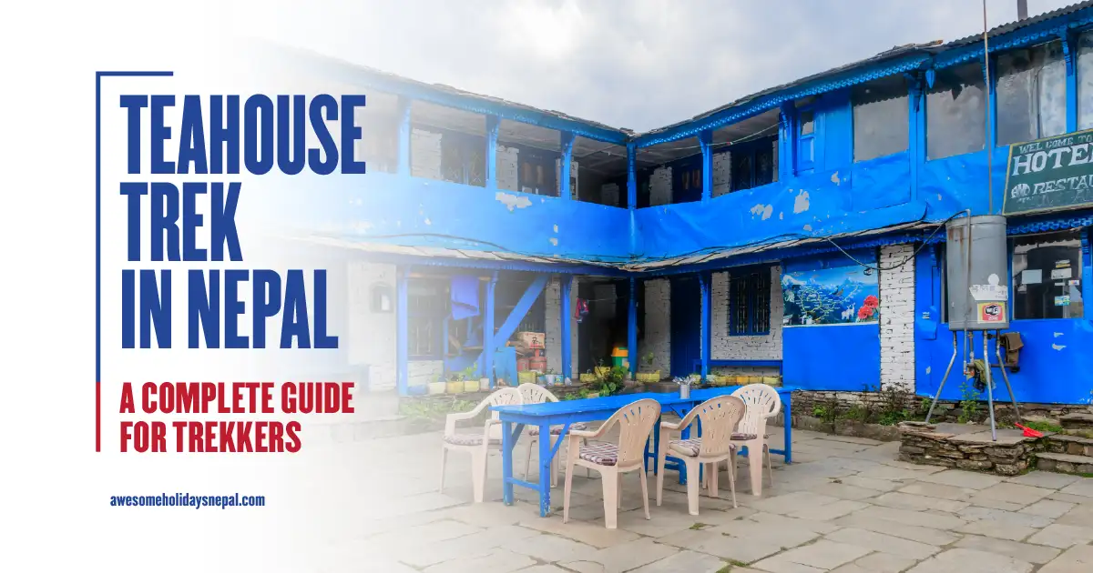 Tea House Trek in Nepal: A Complete Guide for Trekkers