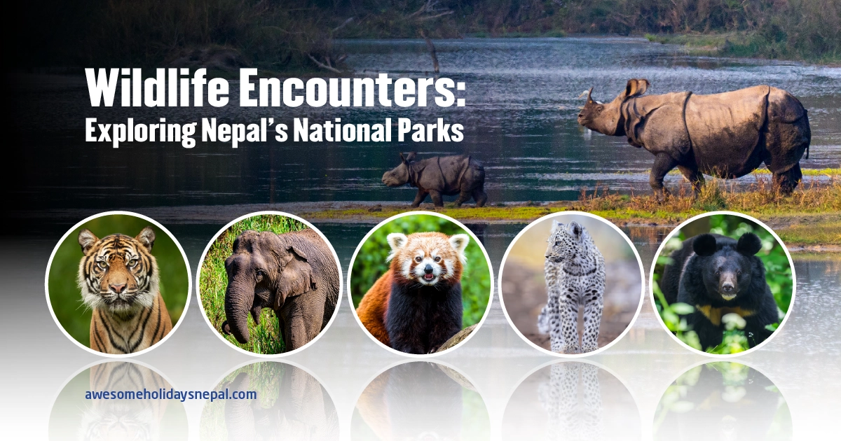Unforgettable Wildlife Encounters: A Guide to National Parks of Nepal