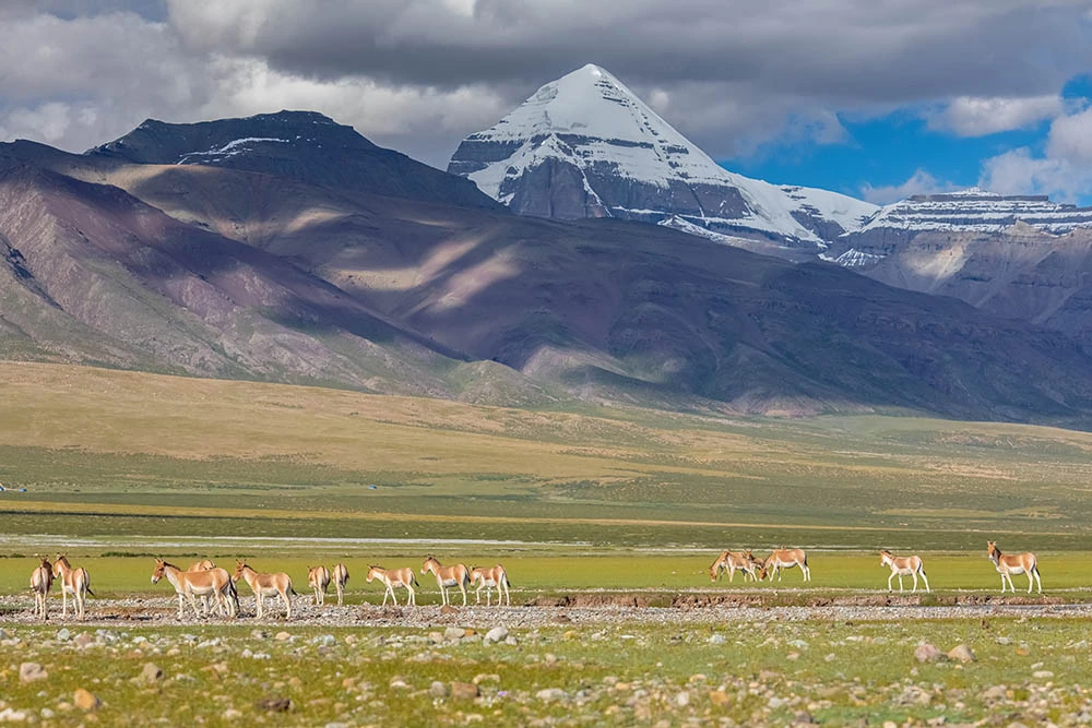 Holy Kailash Mansarovar Yatra via Lhasa