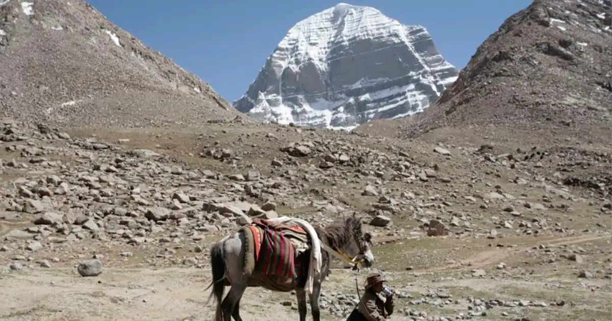 Pony in Kailash Kora