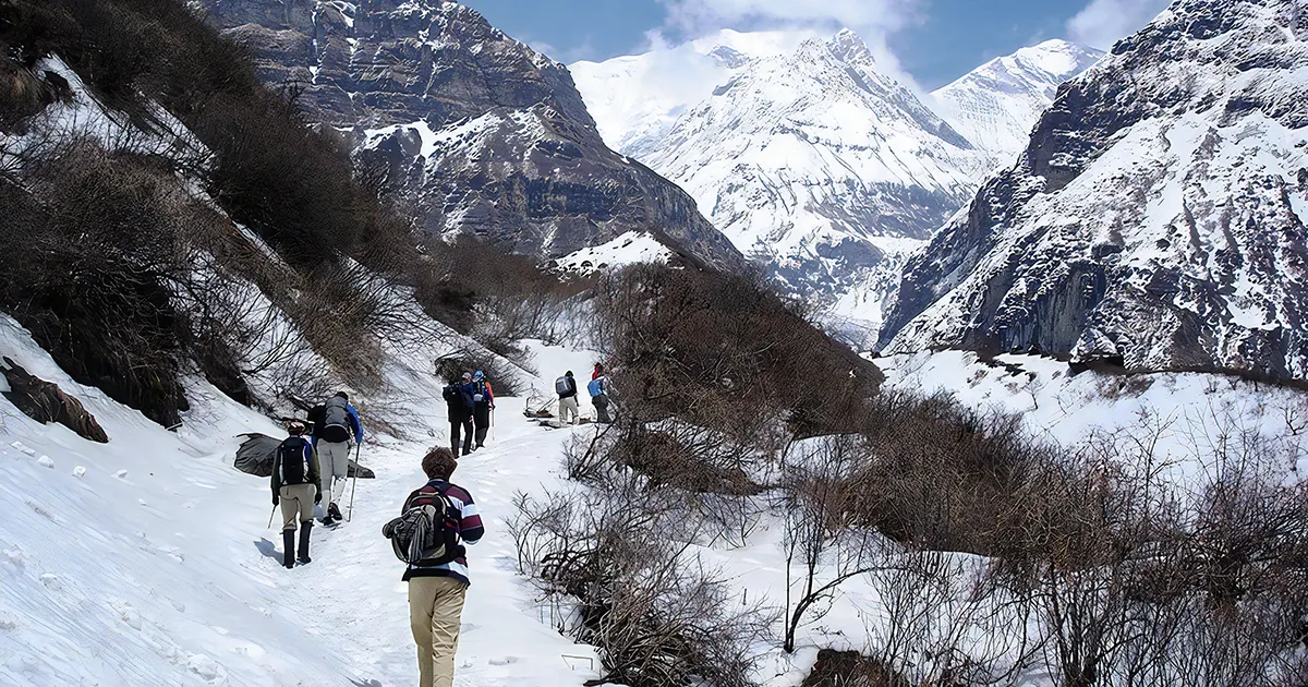 Picture of Annapurna Snowline
