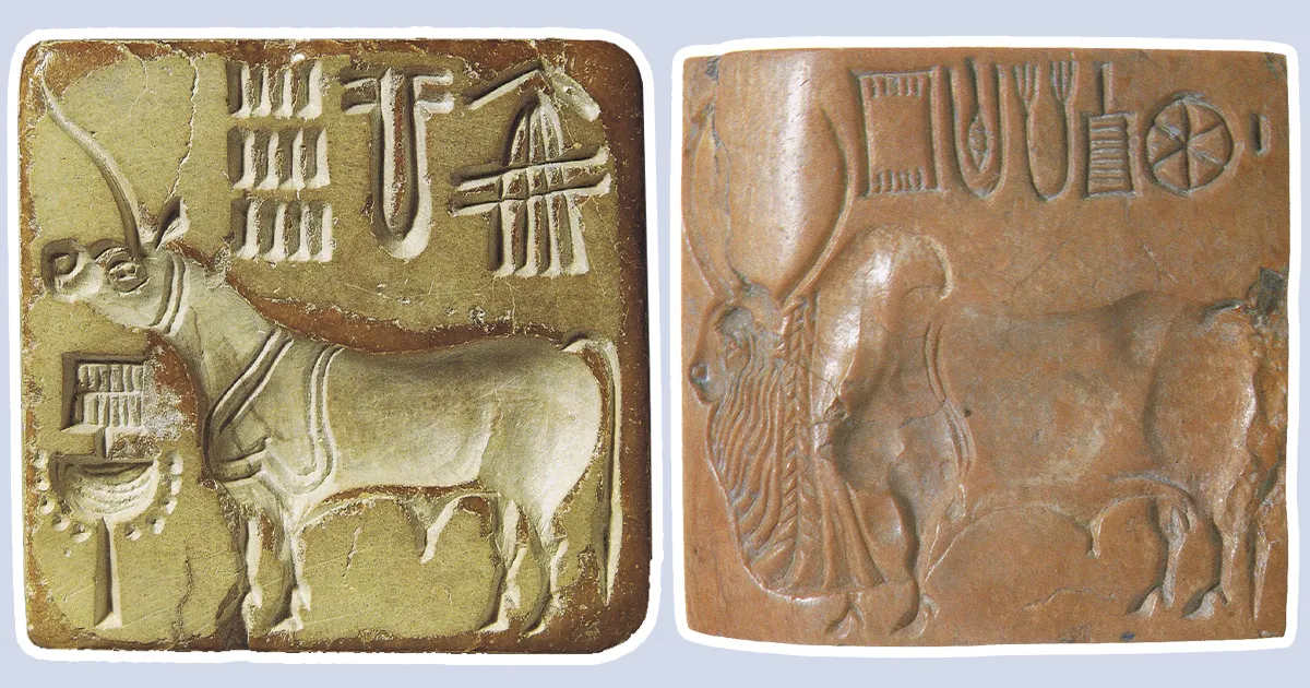 Artefacts of bulls in ancient civilisation in Mohenjo-Daro and Harappa