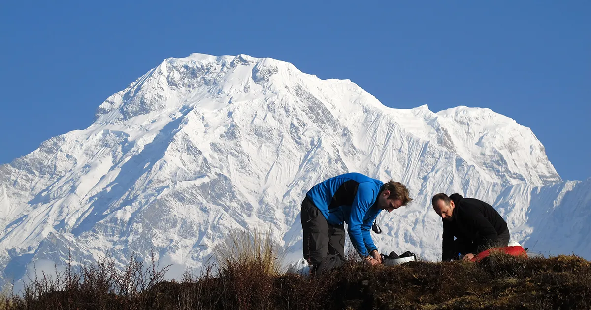 Picture of trekkers with Mardi Himal in background