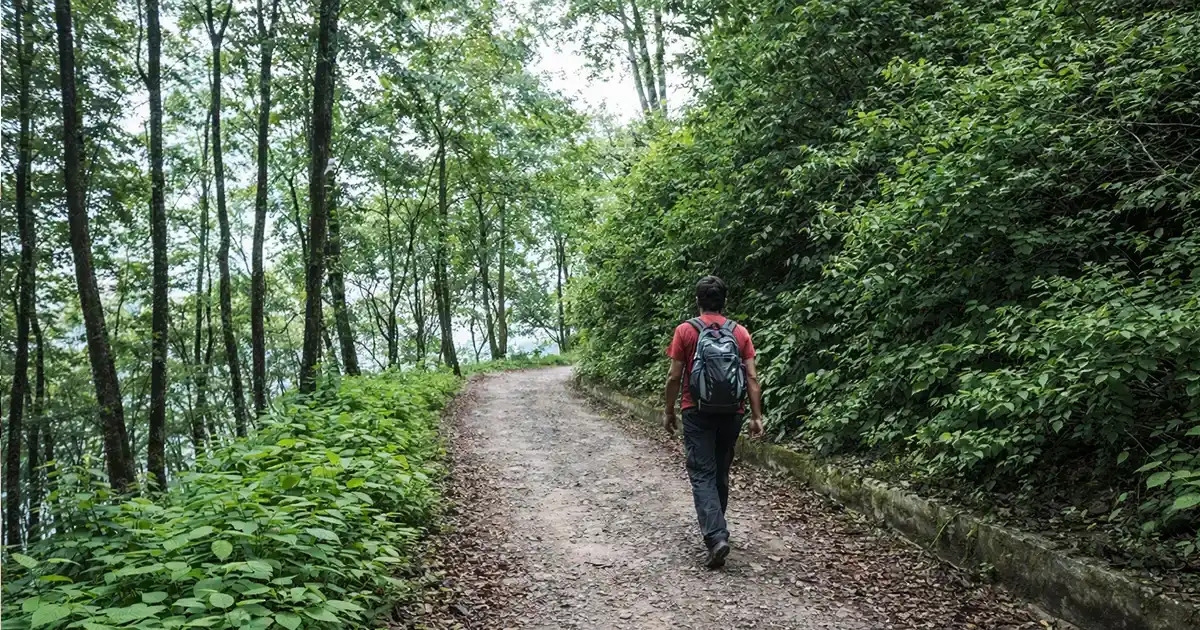 Nature Walk in Nagarkot