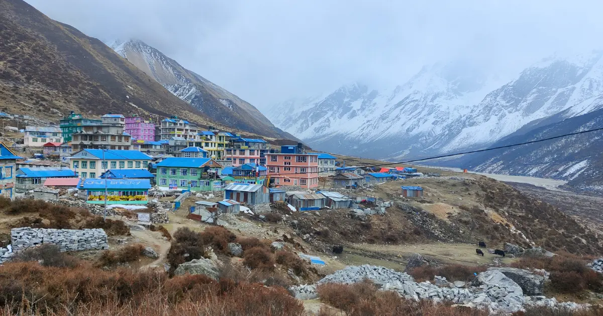 Kyanjin Gompa Monastery background 