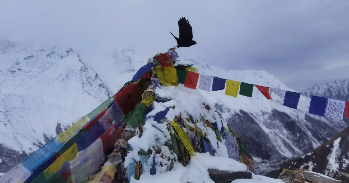 Prayer Flags