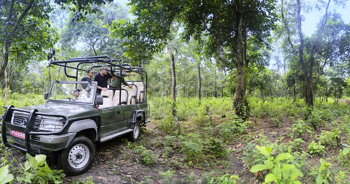 Jungle Safari in Nepal