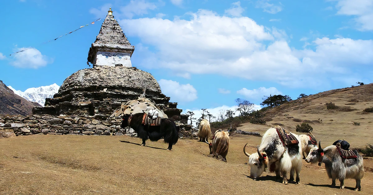 Caravans across mountain passes
