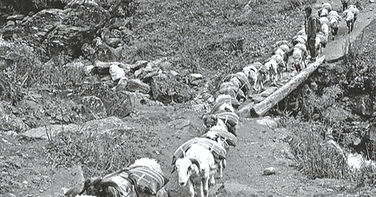 Deep gorges of Far West