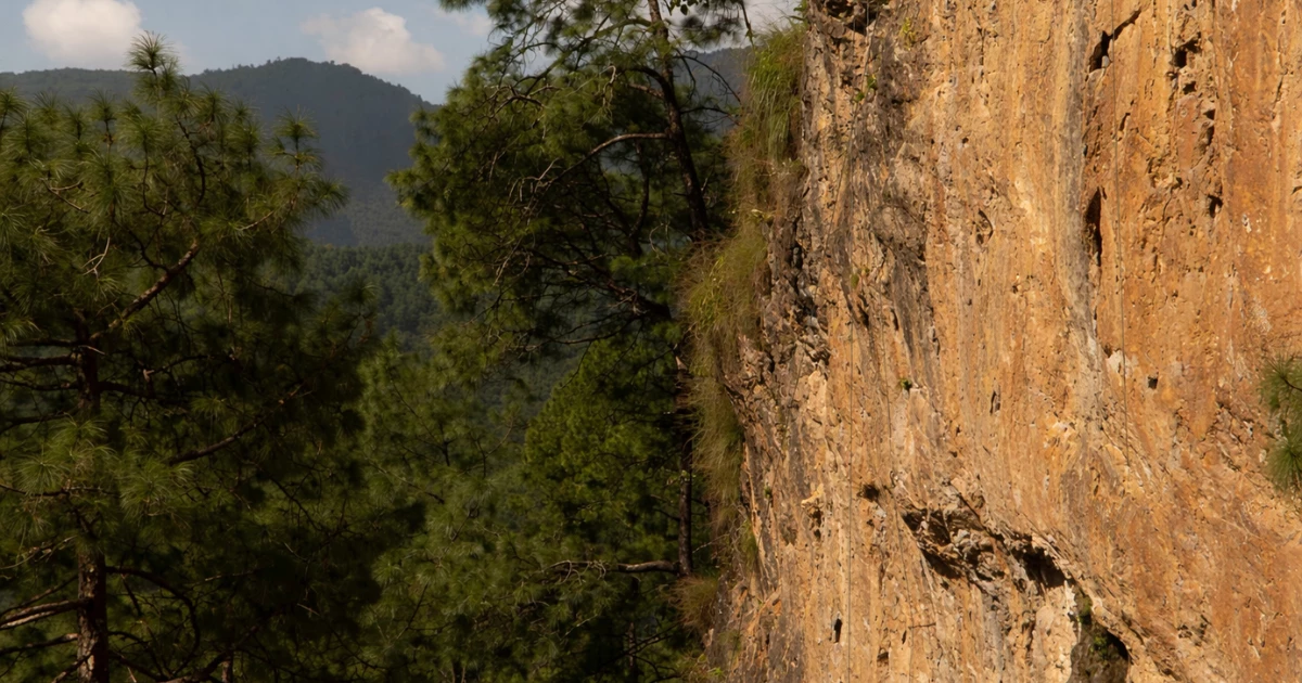Picture of Hattiban rock climbing