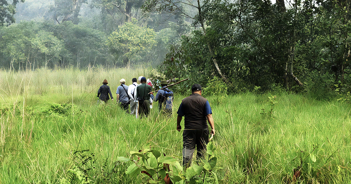 People doing Jungle Walk in Chitwan National Park