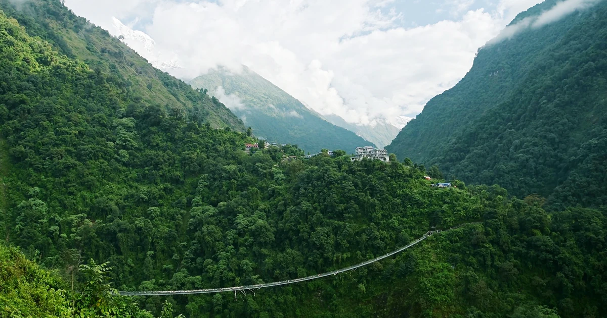 Dense Forests of Annapurna Region