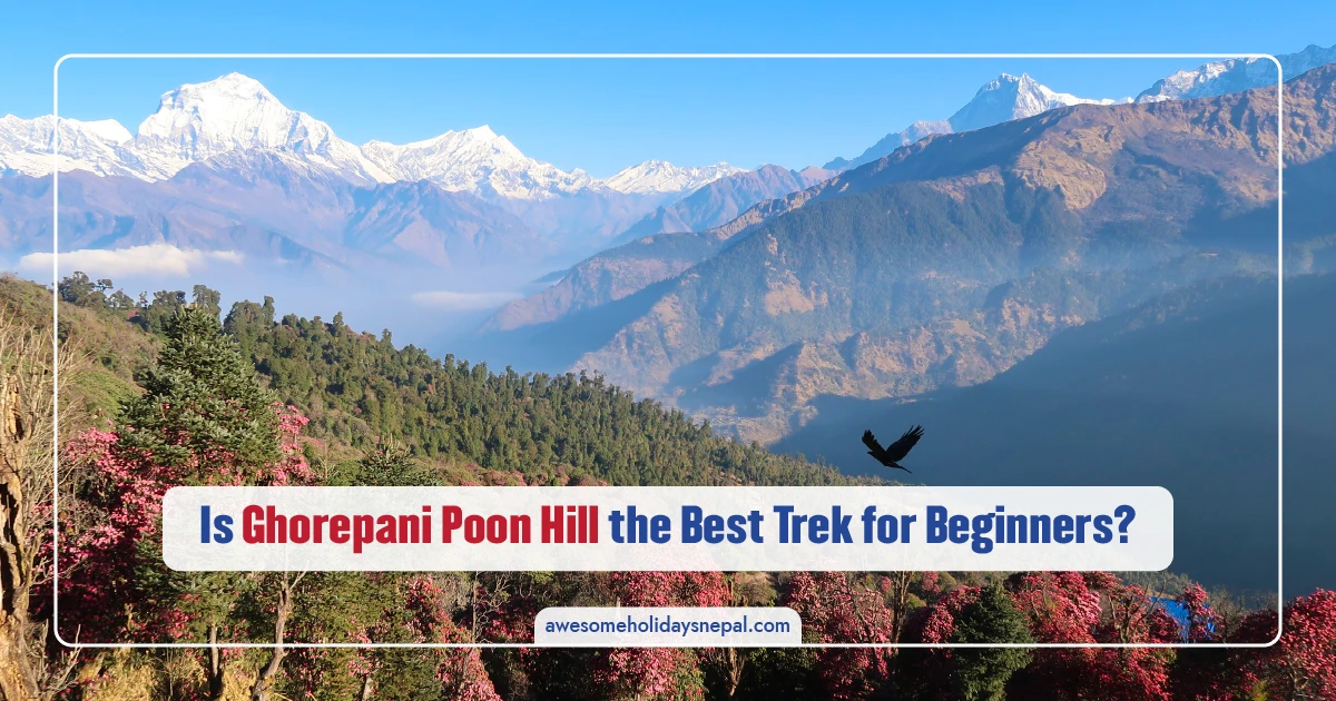 Ghorepani Poon Hill Trek in 2026: Is It Nepal’s Best 4–5 Day Trek for First-Time Visitors?
