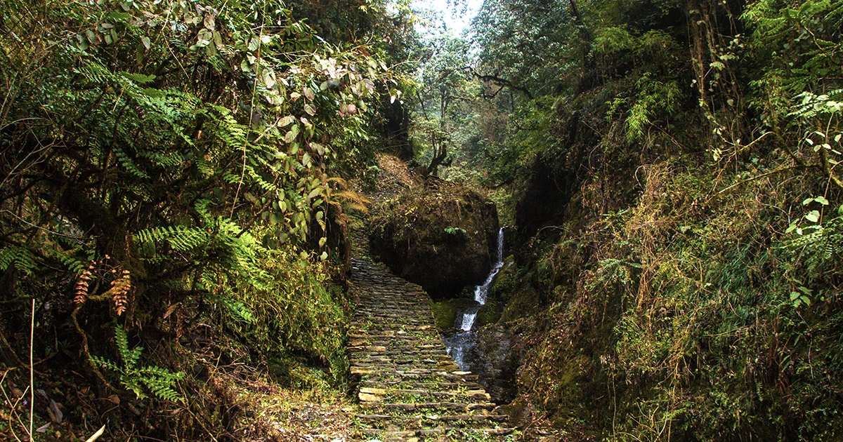 Ghorepani Trekking Trail