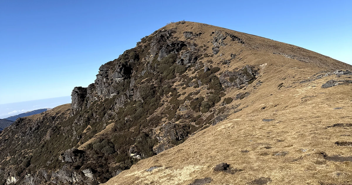 Picture of Pikey Peak 