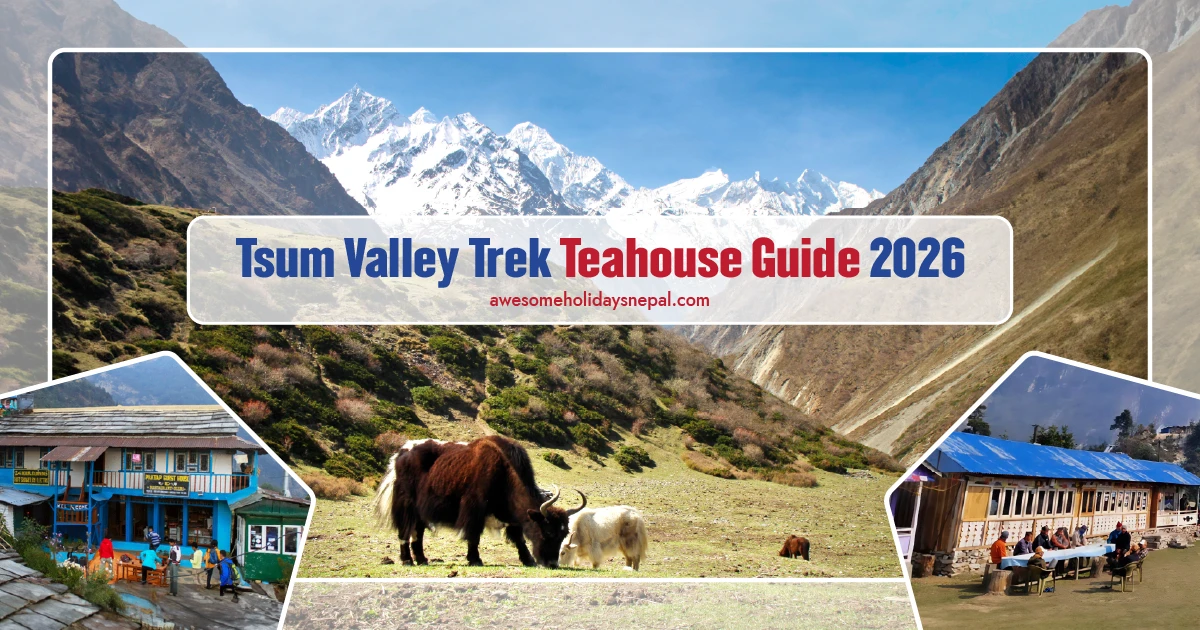 Tsum Valley Trek Teahouse in 2026: Accommodation Simplicity, Food, and Charging Reality