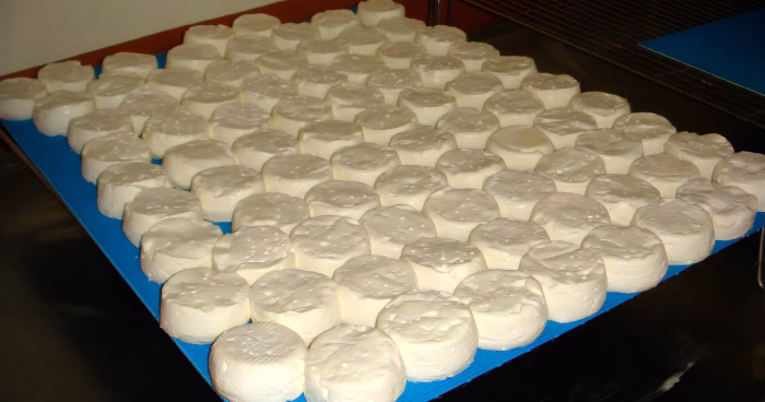 Chitlang Goat Cheese Factory