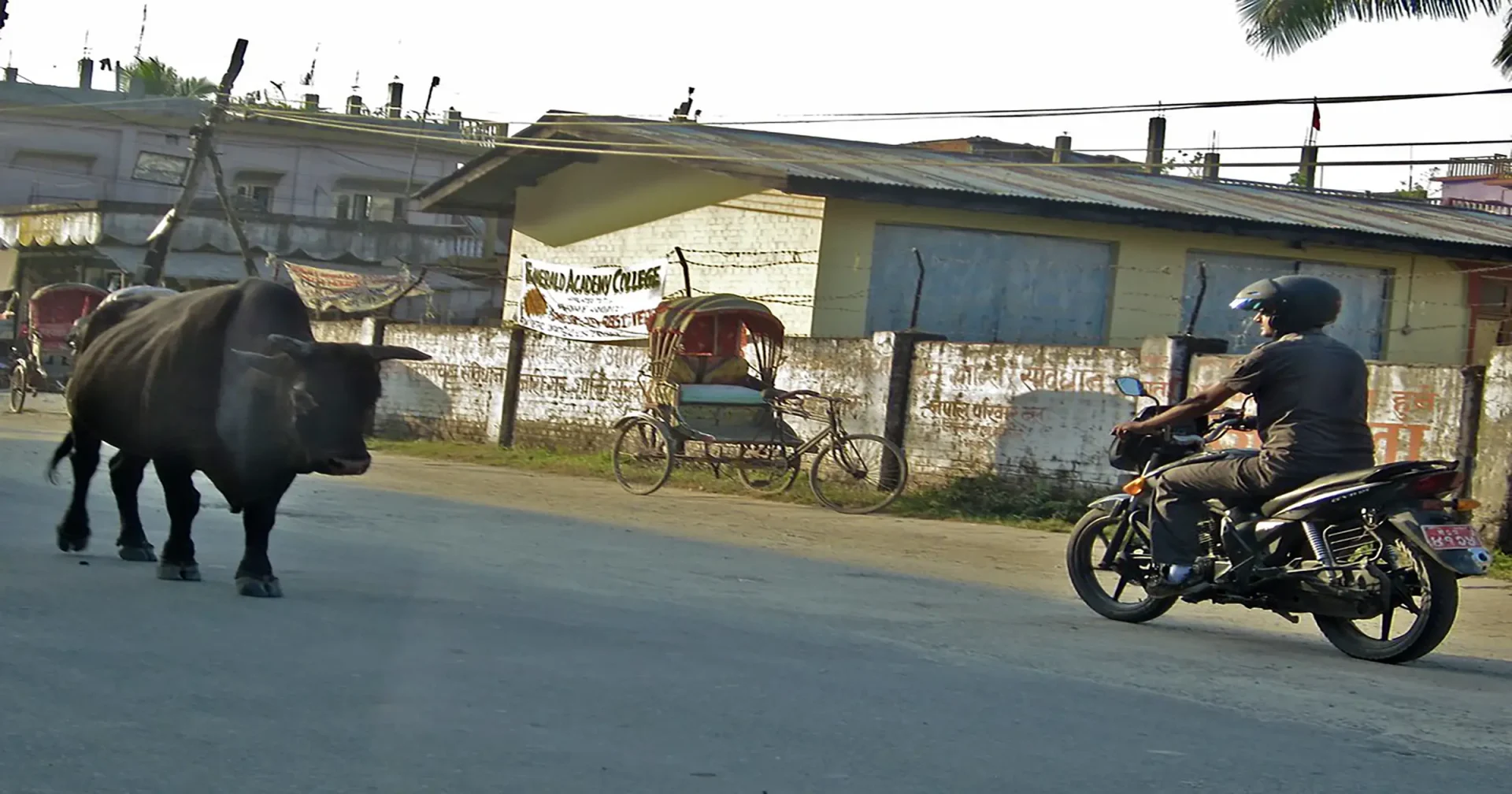 Bhadrapur to Taplejung Road 