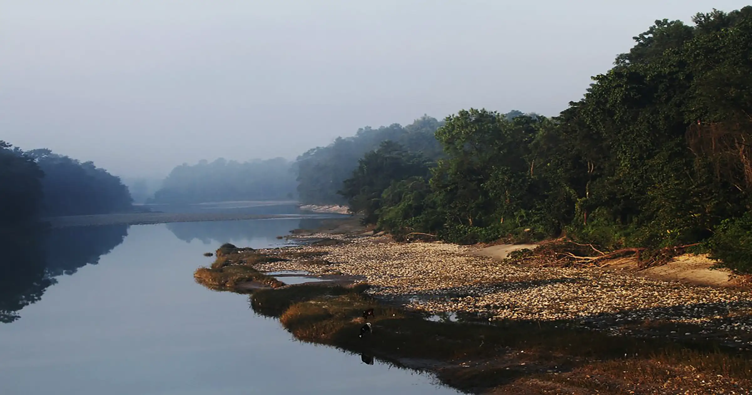 Narayani River Ecosystem
