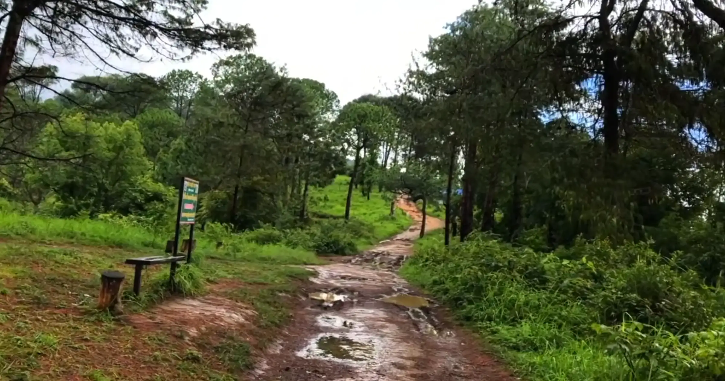 Slippery Monsoon Trails of Champadevi 
