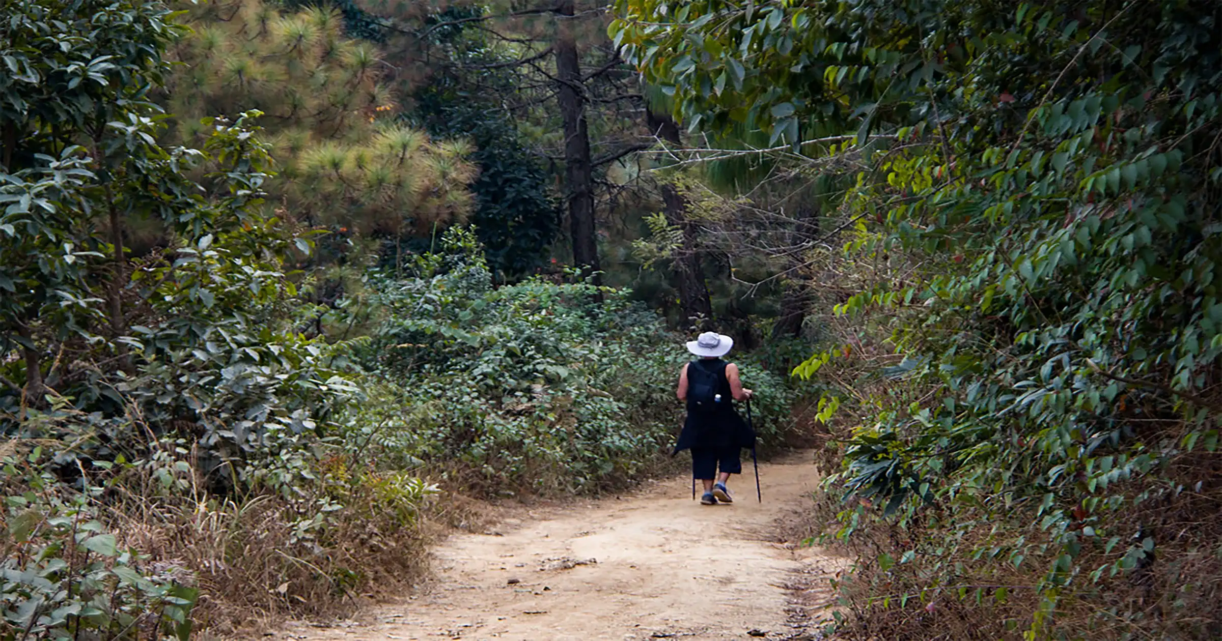 Trekker in Champadevi Trail